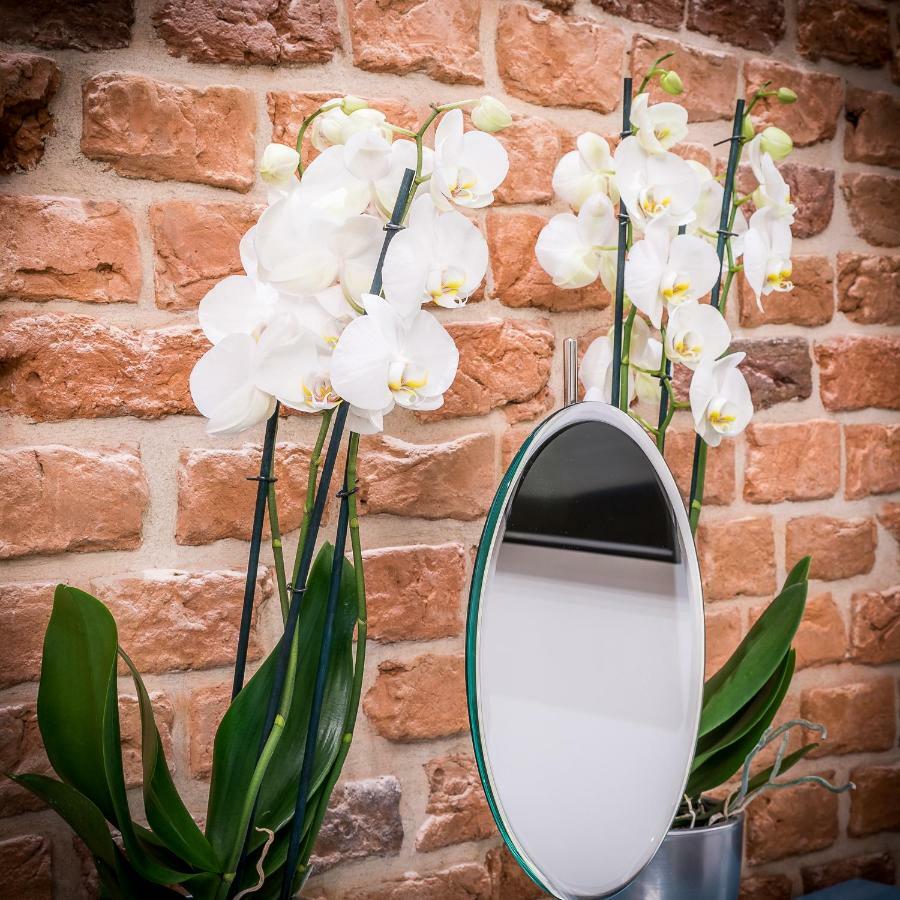 Apartamenty "Artaparts" Stare Miasto - Centrum Stary Toruń 外观 照片